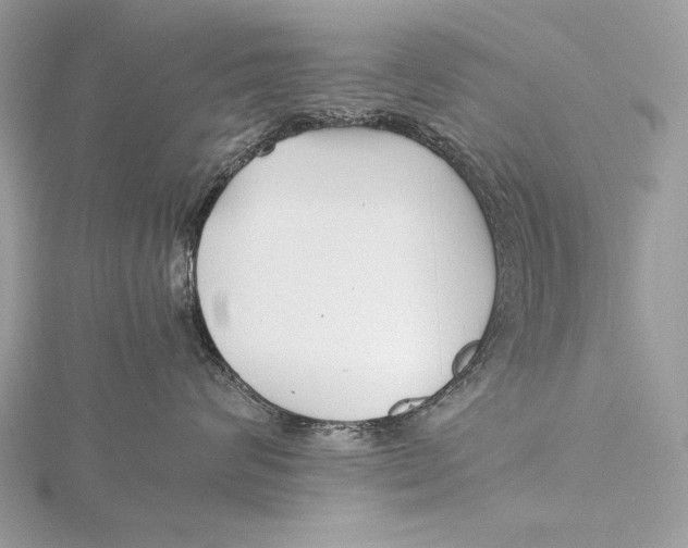 X0000115740624200912031428