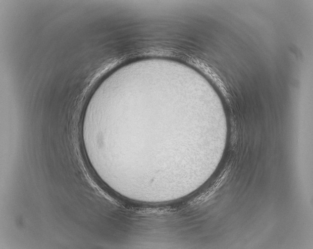 X0000115740625200912031428