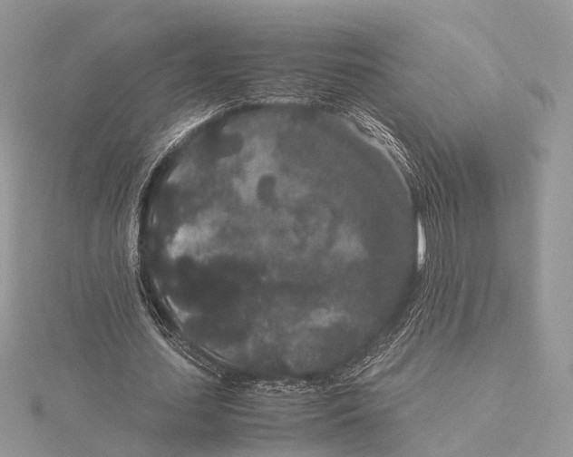 X0000115740627200912031428