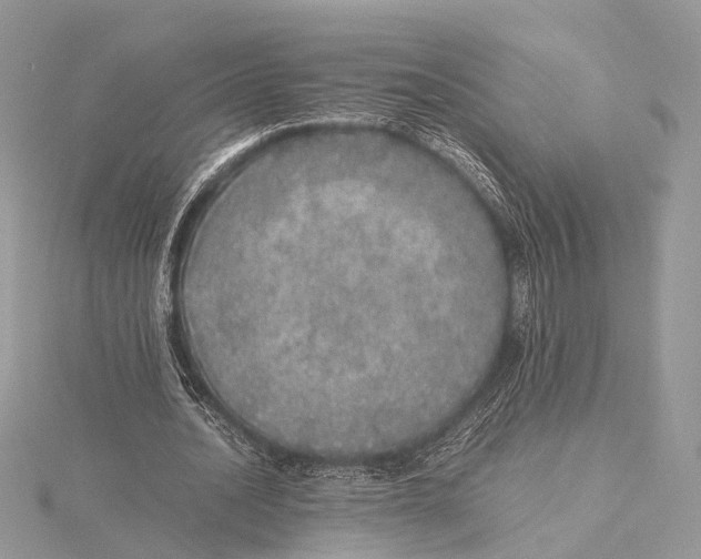 X0000115740628200912031428