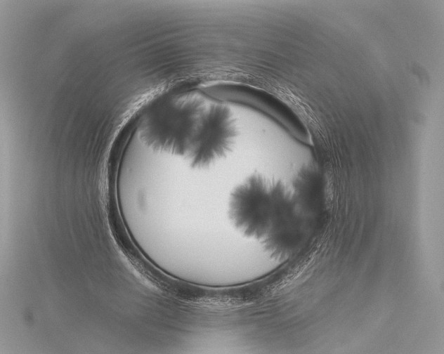 X0000115740630200912031428