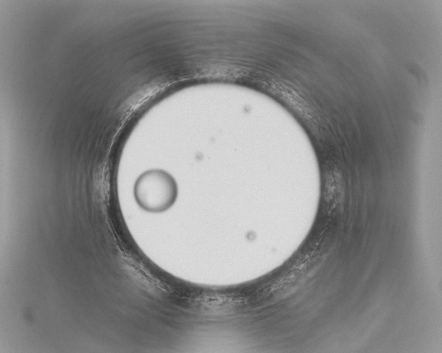 X0000115740632200912031428