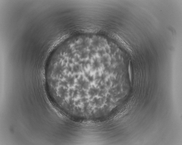 X0000115740634200912031428