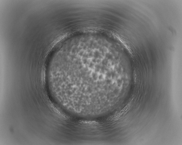 X0000115740637200912031428