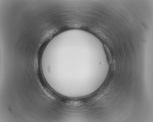 X0000115740638200912031428