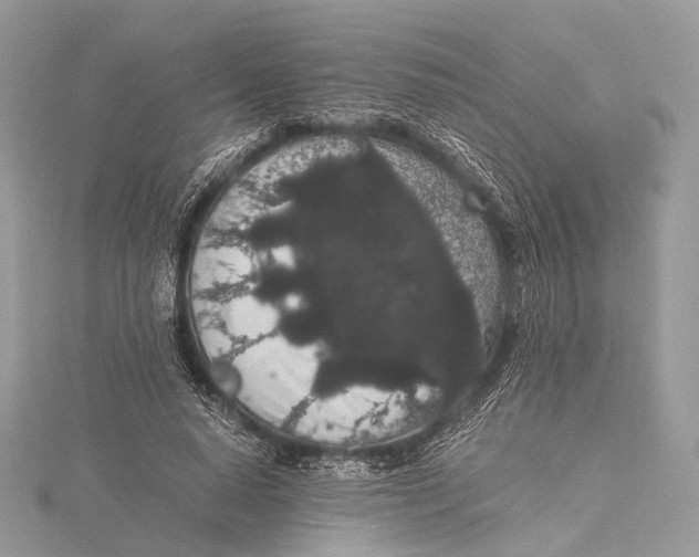 X0000115740640200912031428