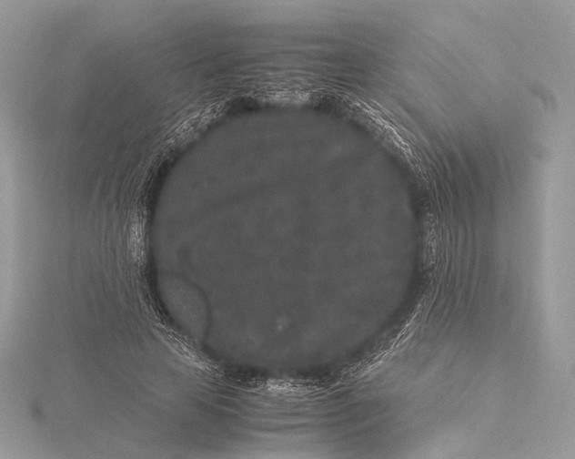 X0000115740641200912031428