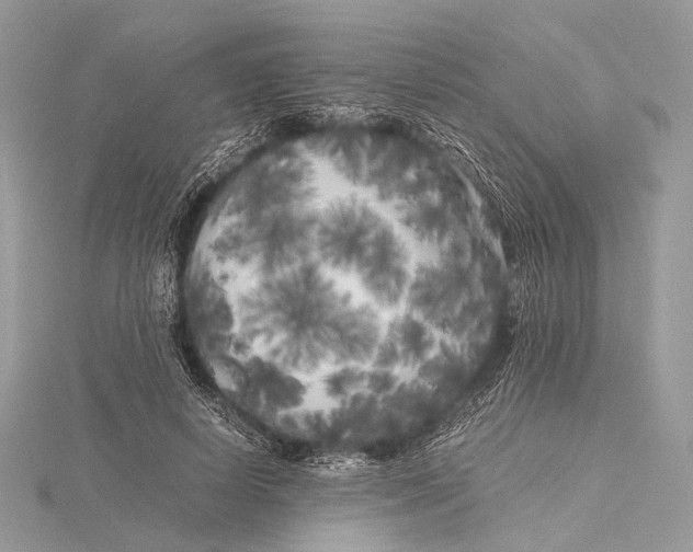 X0000115740642200912031428