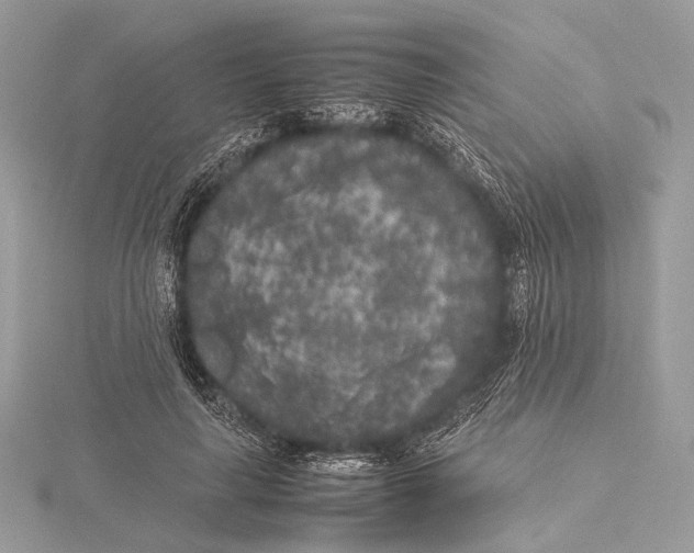 X0000115740643200912031428