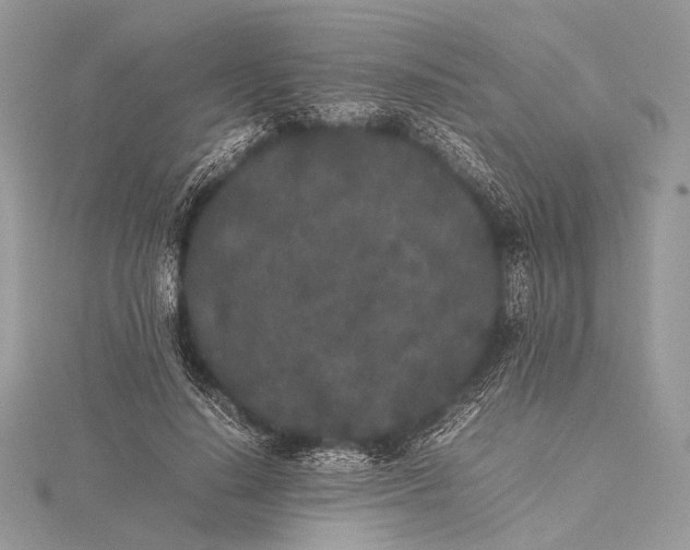 X0000115740644200912031428