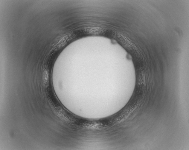 X0000115740646200912031428