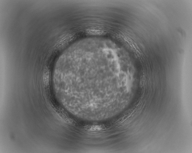 X0000115740647200912031428