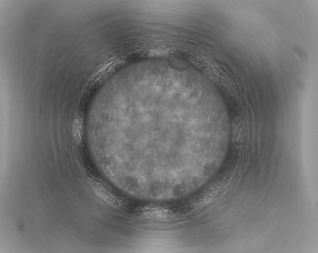 X0000115740648200912031428