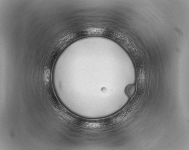 X0000115740649200912031428