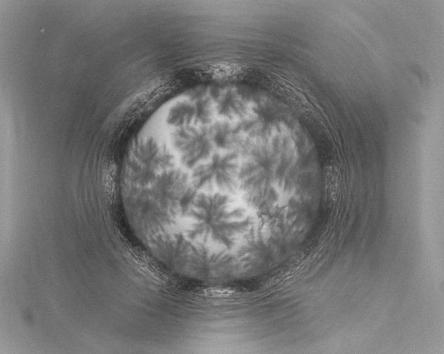 X0000115740650200912031428