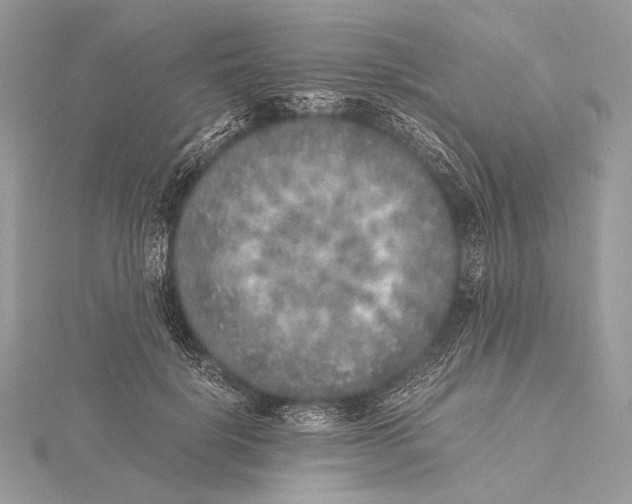 X0000115740652200912031428