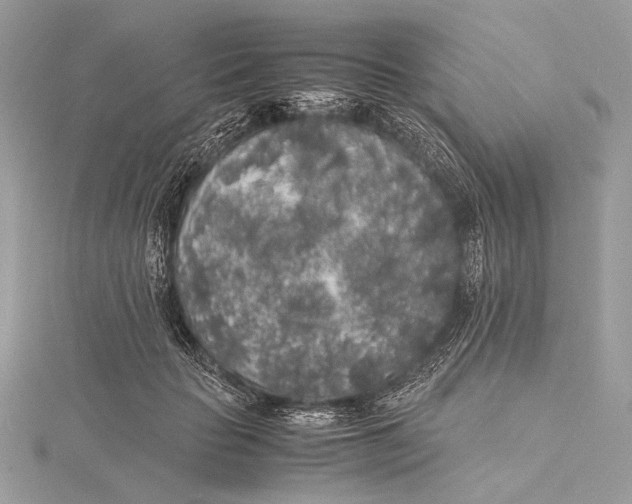 X0000115740653200912031428