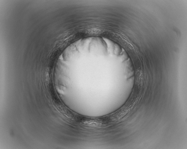 X0000115740655200912031428