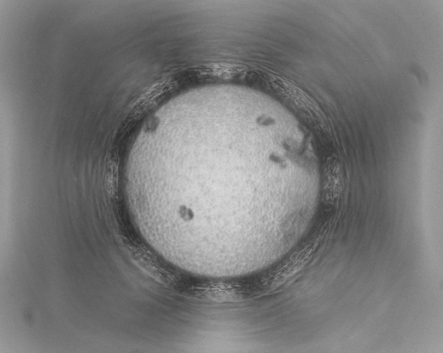 X0000115740656200912031428