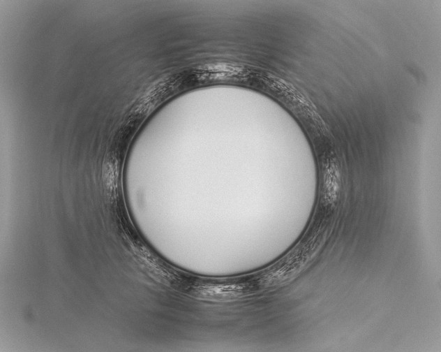 X0000115740657200912031428