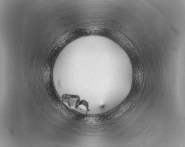 X0000115740660200912031428