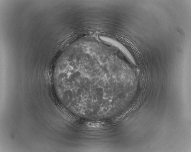 X0000115740661200912031428