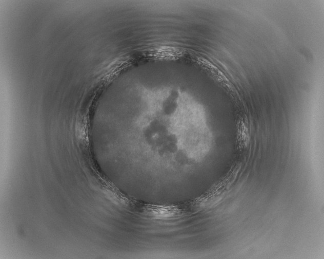 X0000115740663200912031428