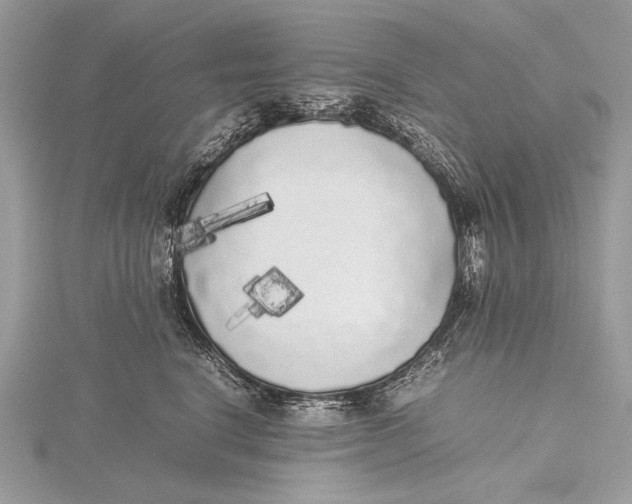 X0000115740664200912031428