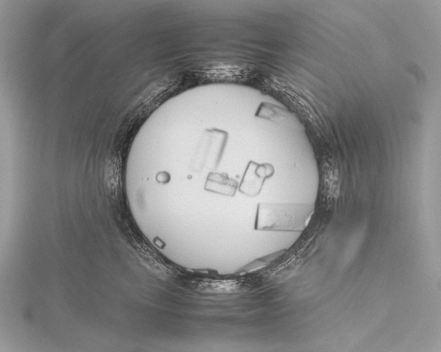 X0000115740665200912031428