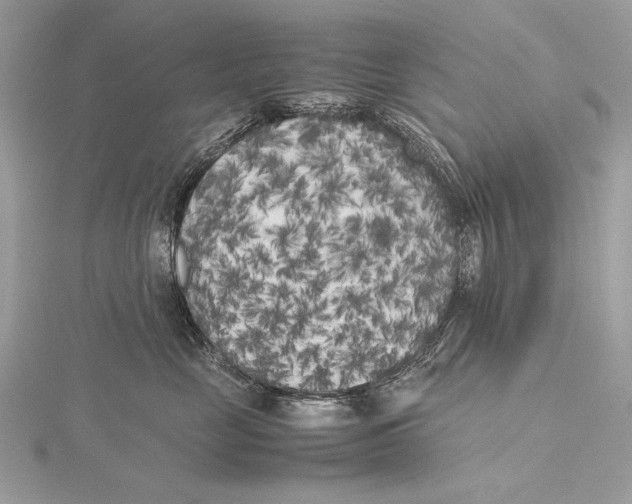 X0000115740669200912031428