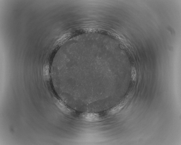 X0000115740670200912031428