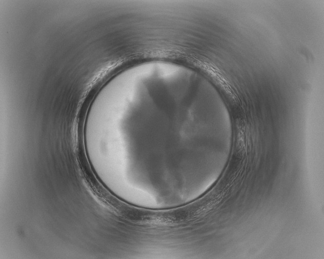 X0000115740678200912031428