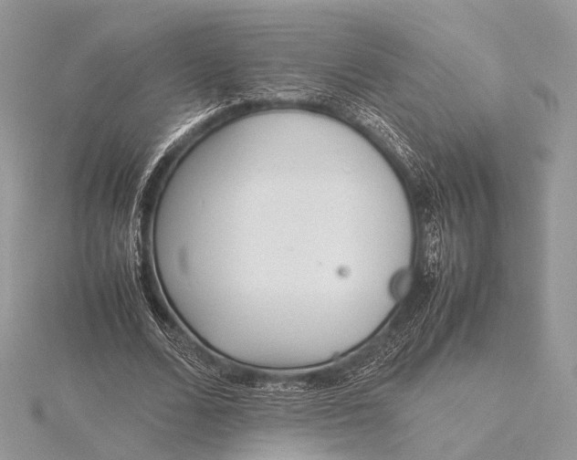 X0000115740680200912031428