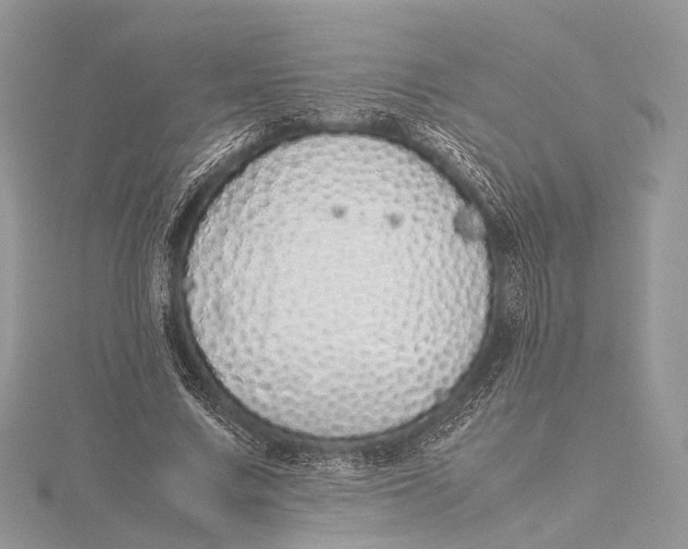 X0000115740683200912031428