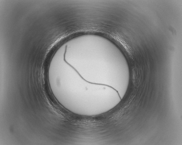 X0000115740684200912031428