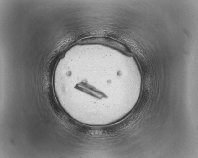 X0000115740687200912031428