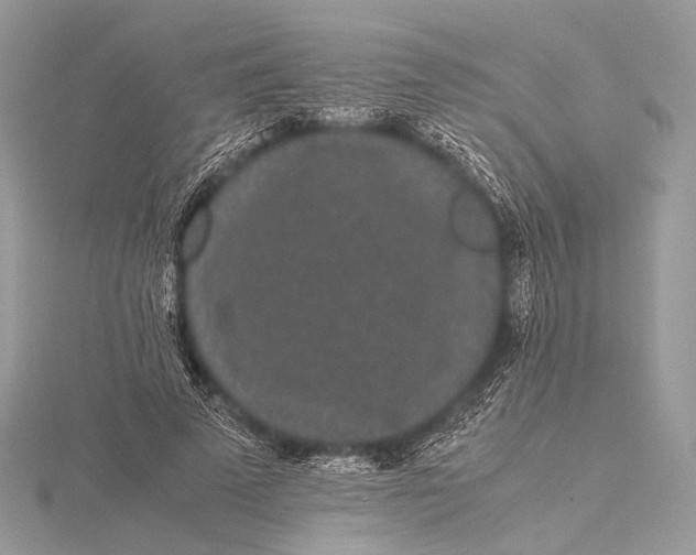 X0000115740689200912031428