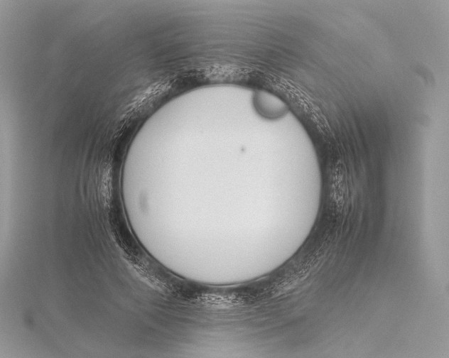 X0000115740690200912031428