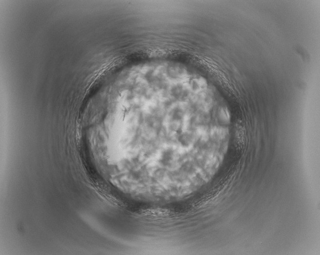 X0000115740691200912031428