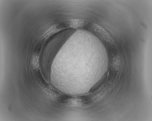 X0000115740696200912031427