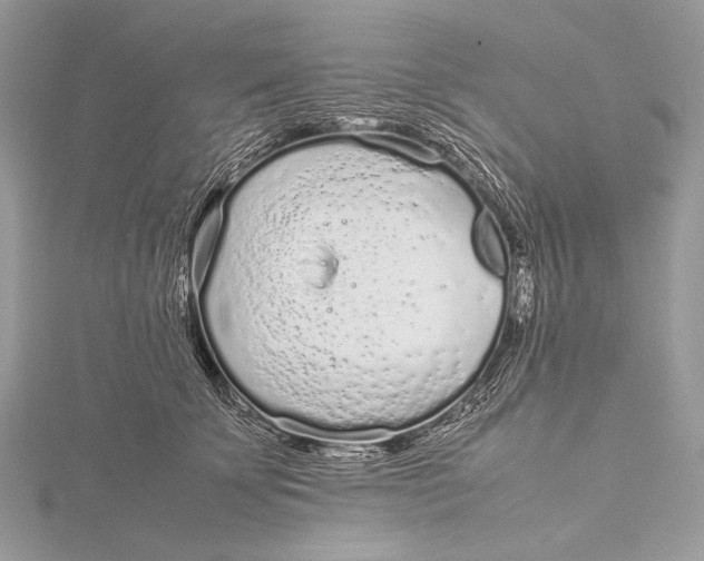 X0000115740707200912031427