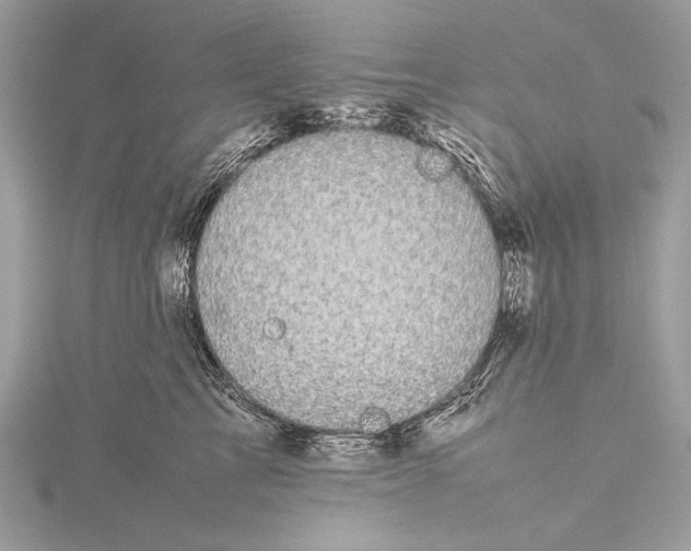 X0000115740713200912031427