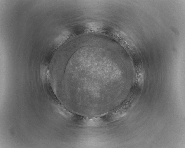 X0000115740716200912031427