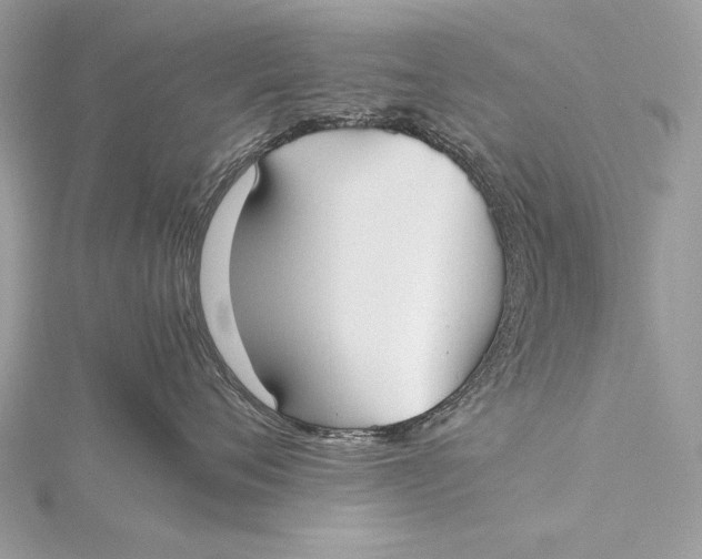 X0000115740720200912031427