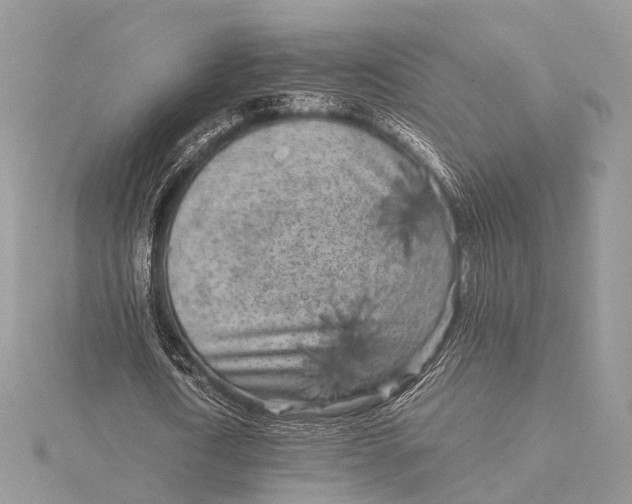 X0000115740722200912031426