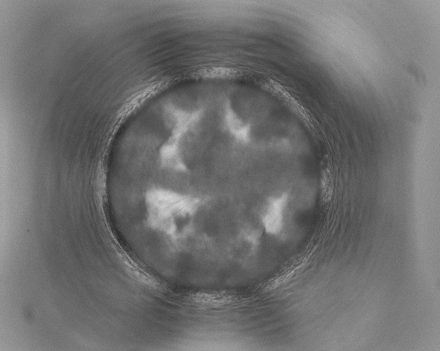 X0000115740725200912031426