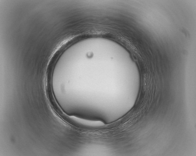 X0000115740726200912031426