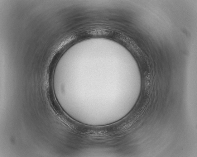 X0000115740727200912031427