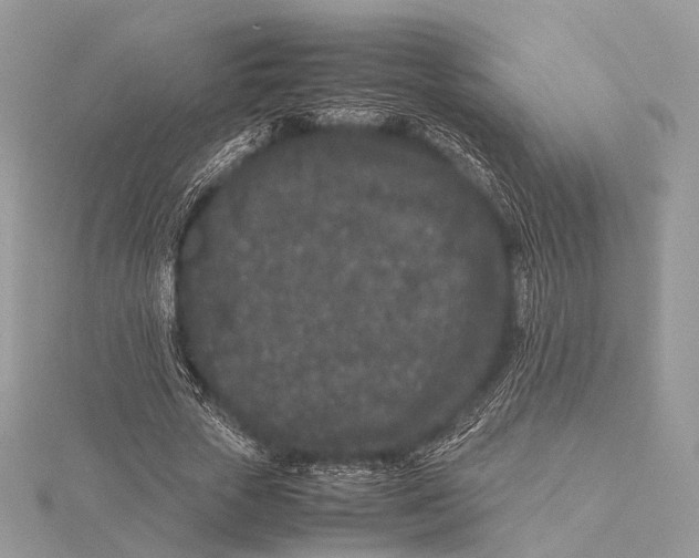 X0000115740729200912031427