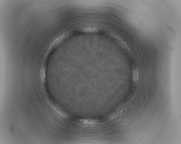 X0000115740733200912031427